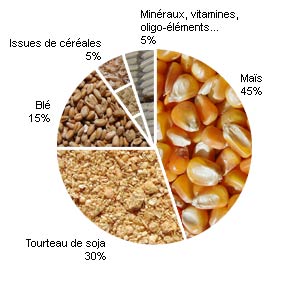 alimentation-des-poules