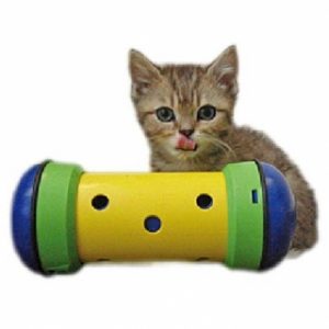 jouet-chat-distributeur